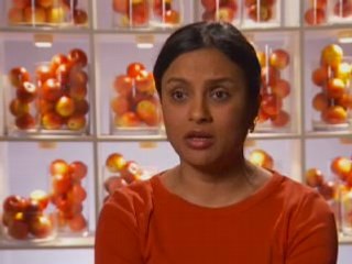 The Next Food Network Star - Episode 1 Recap