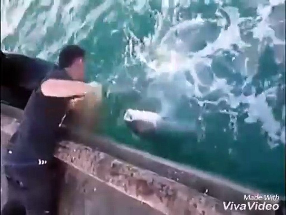 شاهد اجرأ طريقة في صيد الأسماك