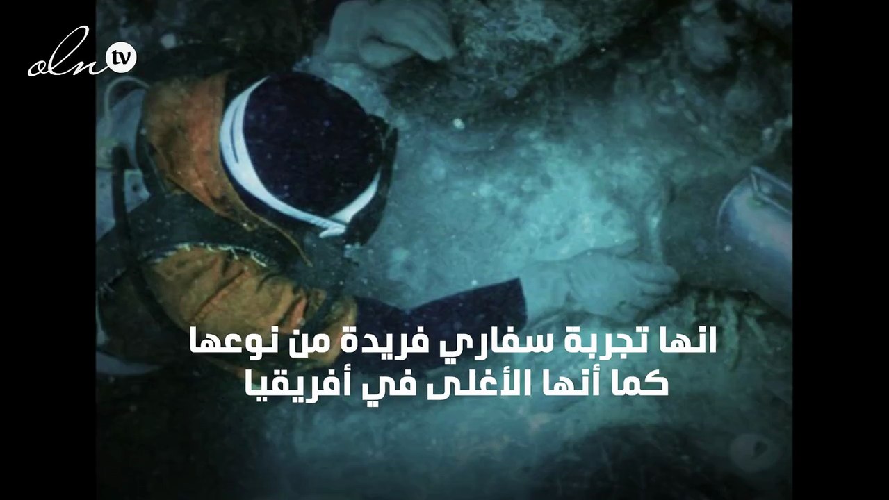 البحث عن الماس في رحلات السفاري الأغلى في العالم