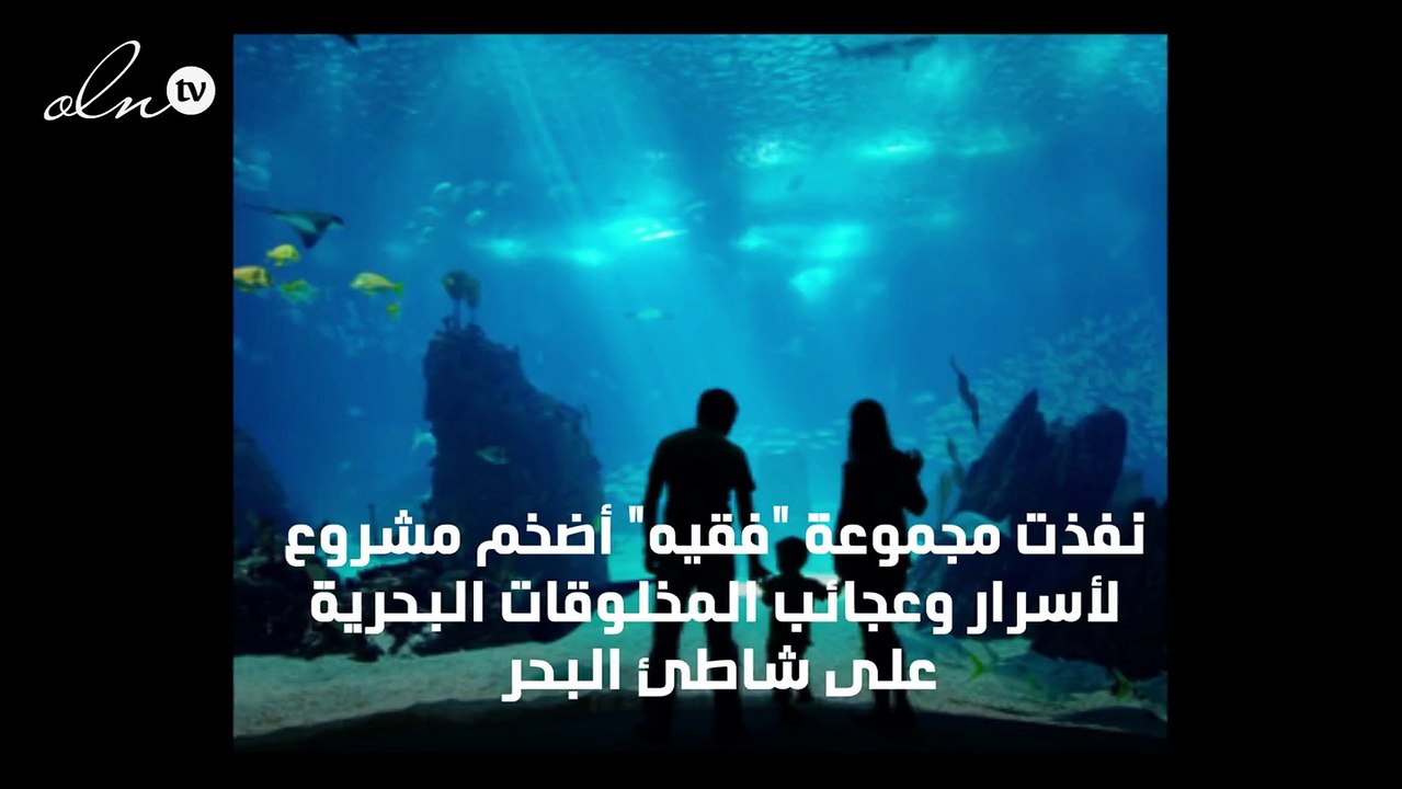 فقيه أكواريوم  أضخم مشروع سياحي مائي في السعودية
