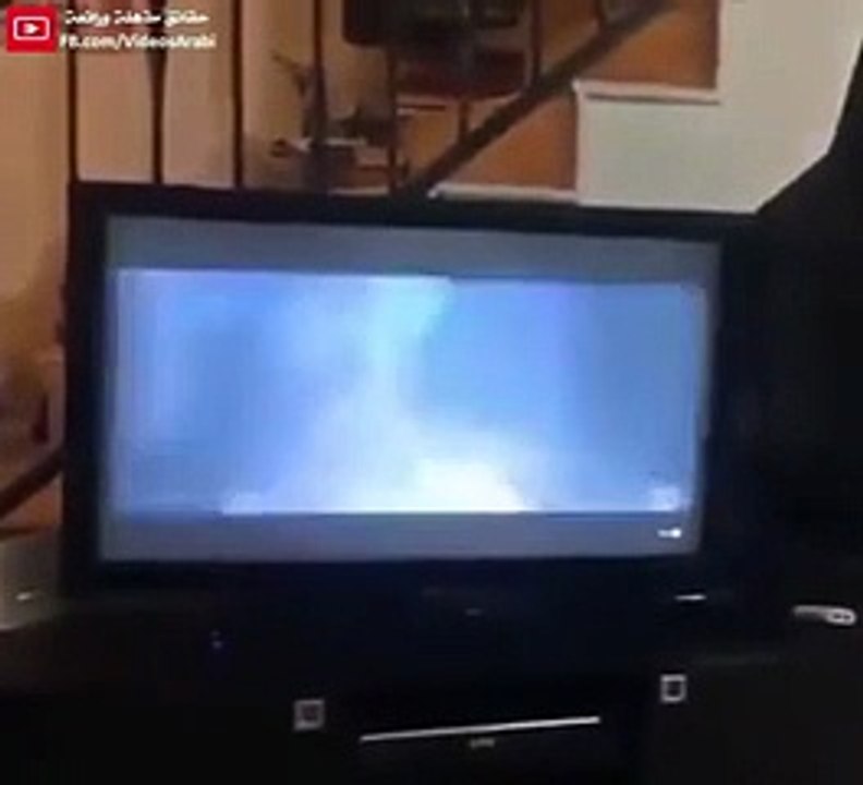 شاهد رد فعل هذا الكلب عند مشاهدة فيلم رعب