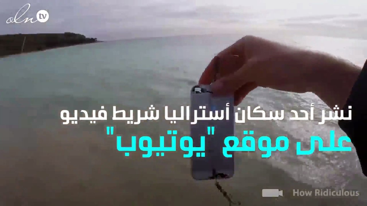 هكذا يمكنك إصطياد السمك من خلال الأيفون!