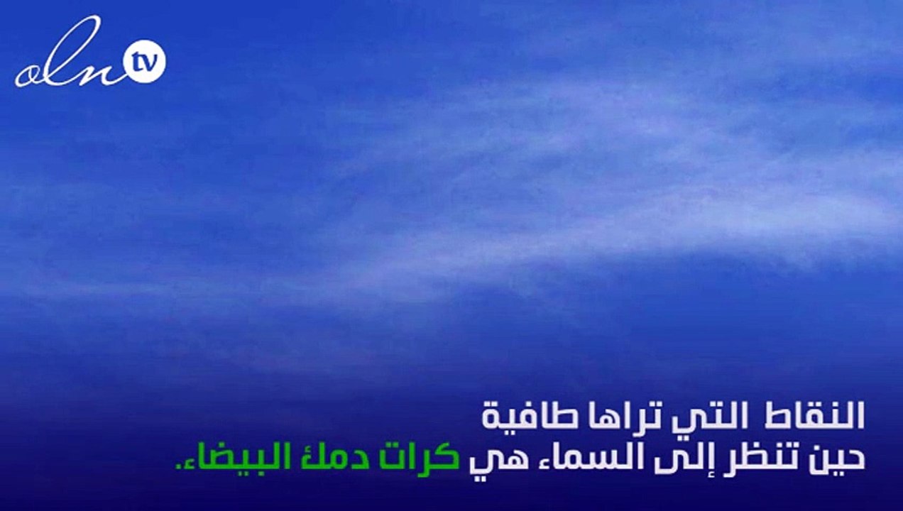 من حول العالم ... اليك أغرب الحقائق المثيرة