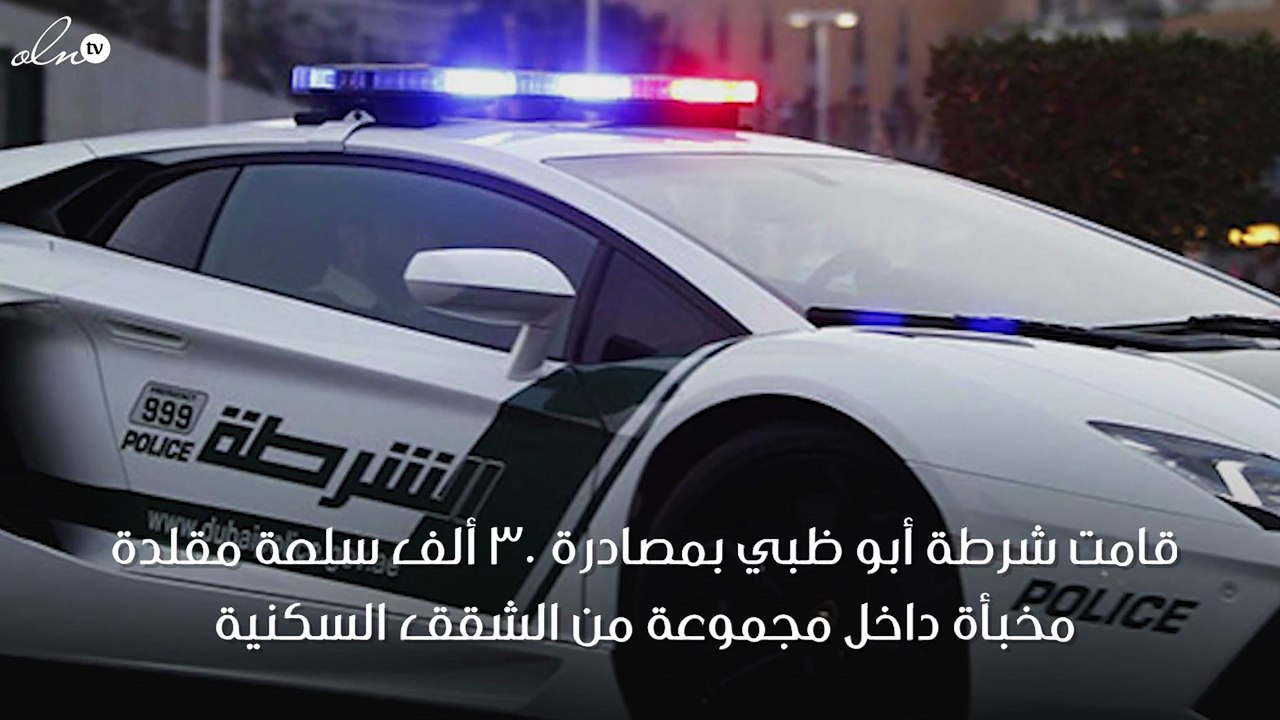 ضبط 30 ألف سلعة مقلدة قيمتها 6 مليون درهم في أب...