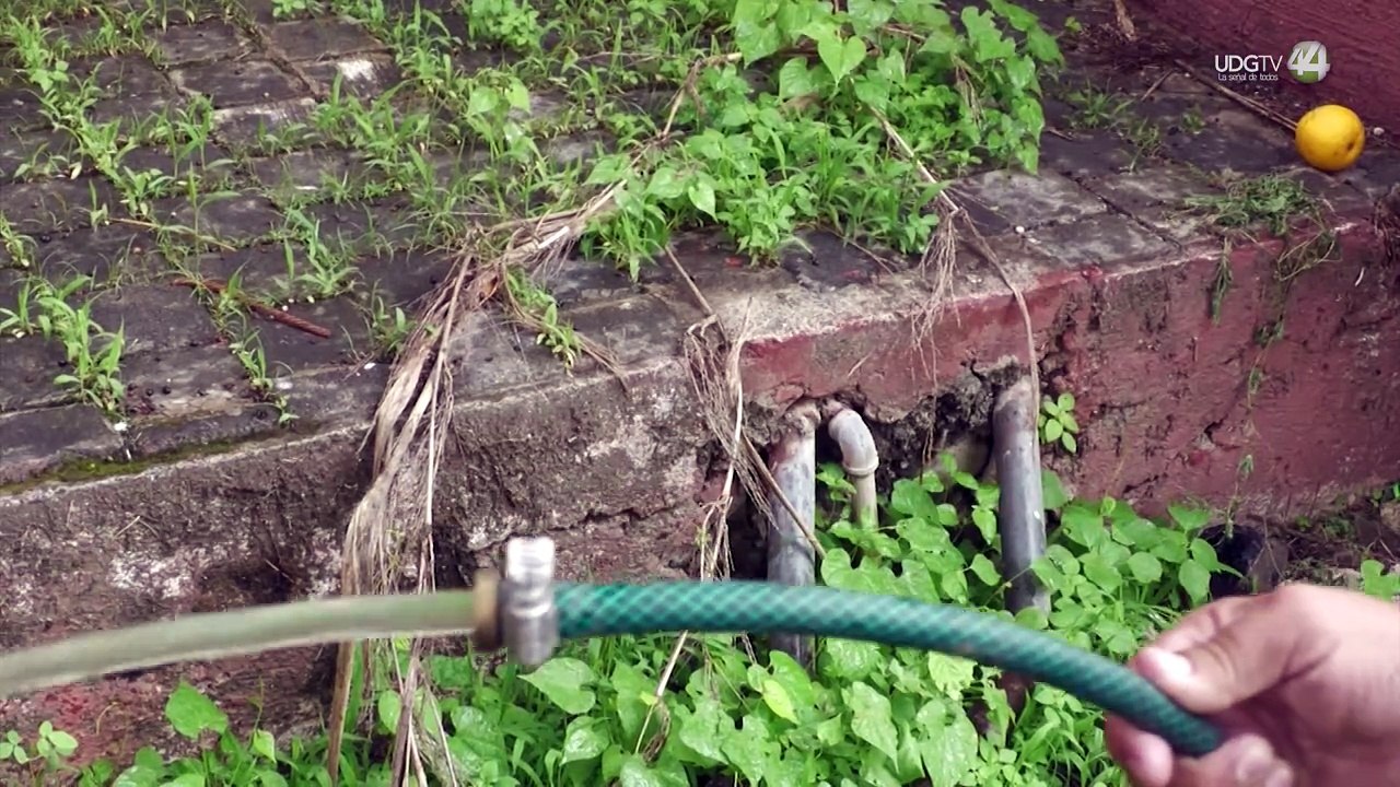 Reconoce SIAPA mal olor de agua en 176 colonias de la ZMG