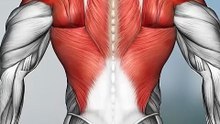Les Meilleurs exercices pour le dos #musculation #workout #workoutmotivation #gym