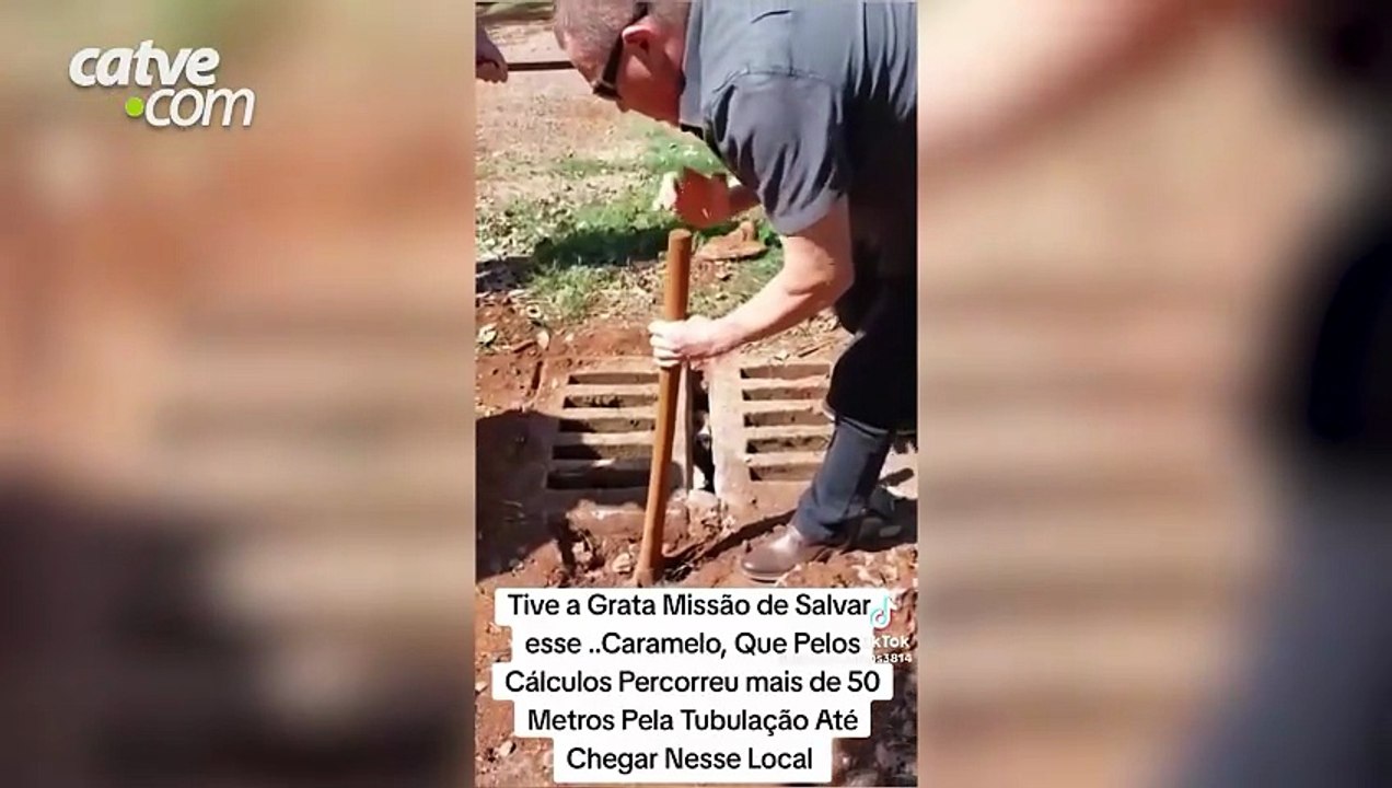 Cadela é resgatada após andar 70 metros por tubulação em bueiro no bairro Universitário