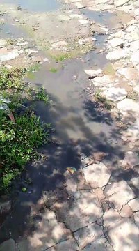Morador cobra solução para problema de esgoto a céu aberto em rua no bairro Jardim Bela Vista, em Patos