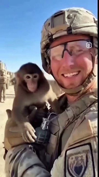 Video drôle
