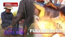 Kuya Kim, naggatas ng kalabaw!; Plantsa, nagliyab! | Dami Mong Alam, Kuya Kim!