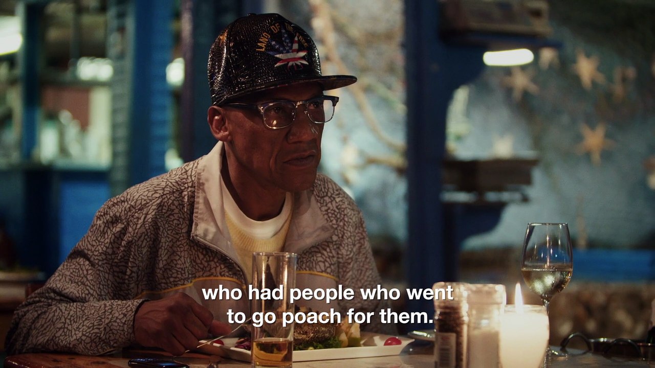 The Story of the South African Quaalude (Hamilton's Pharmacopeia, S01E01)