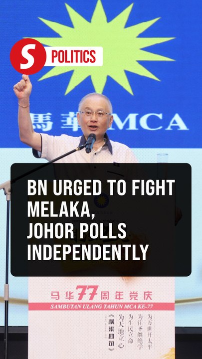 BN should contest Melaka and Johor polls under its own banner, says Dr Wee