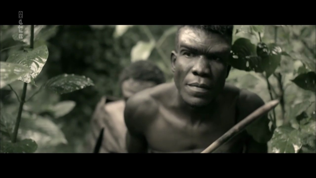 Série Documentaire sur Homo sapiens - S01E01 -