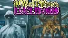 世界で目撃された  巨大生物の痕跡