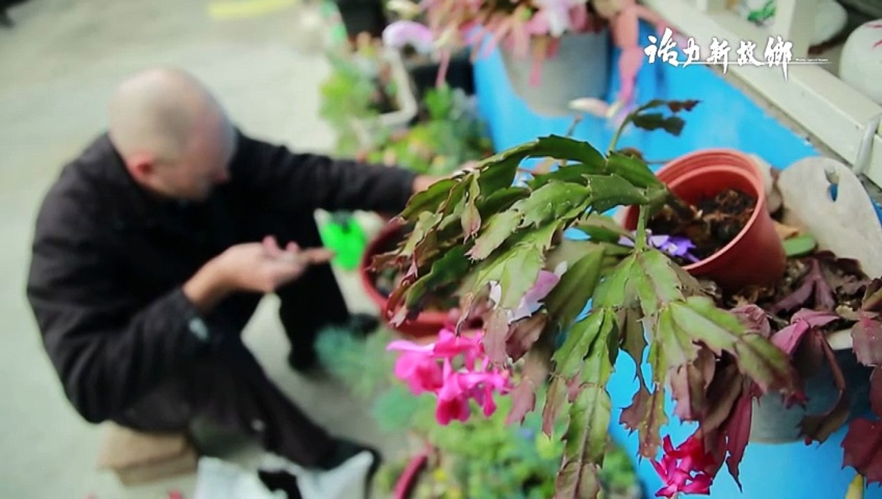 Finding Healing in Family – Inside Taiwan