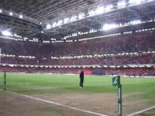 Supporters de choc  2-Finale HCup Cardiff Toulouse Munster
