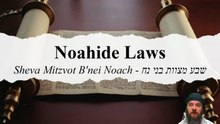 What Are the Noahide Laws and Why Should You Care? 2026