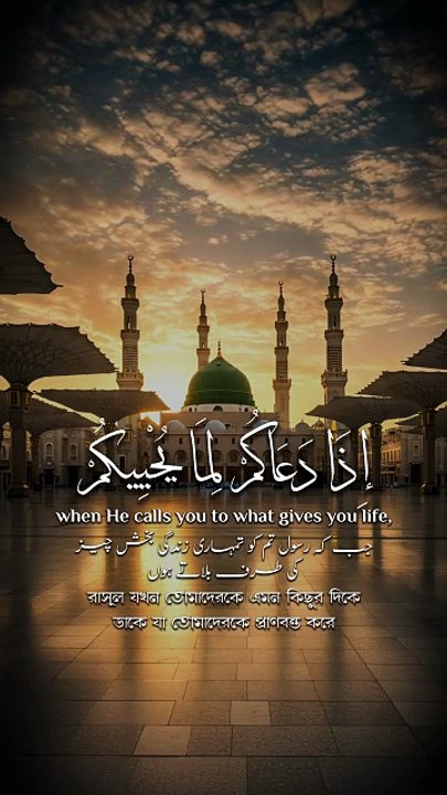 ﴿ يَا أَيُّهَا الَّذِينَ آمَنُوا اسْتَجِيبُوا ل...