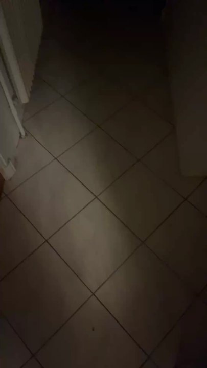 #baka