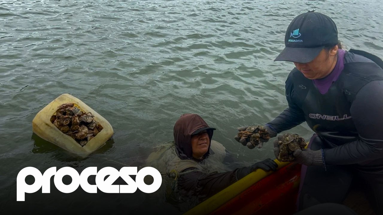Las pescadoras de Sinaloa reman contra la violencia y el olvido oficial