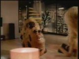 Chips Ahoy! Muerde que vuelan - Spot Spain