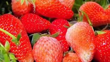 Nature’s juicy delight