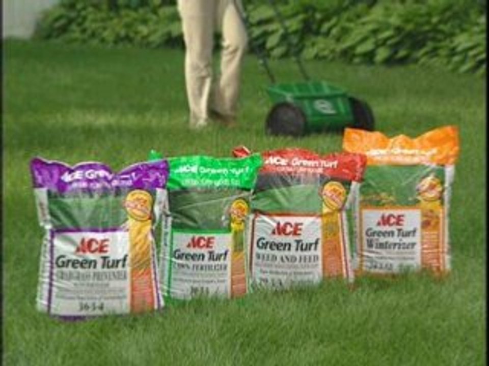 4 Steps to Lawn Care