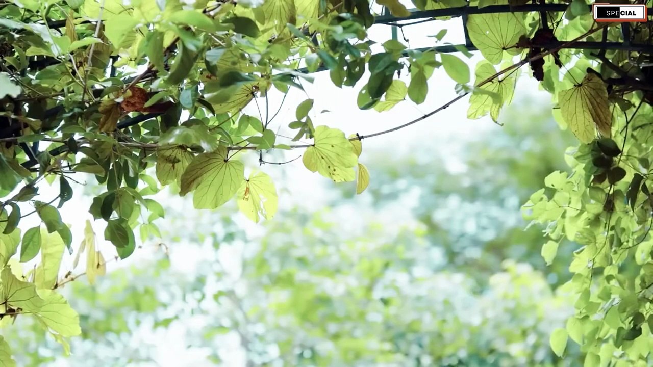 [ENG] Melody of Secrets (2026) Episode 6 #BL