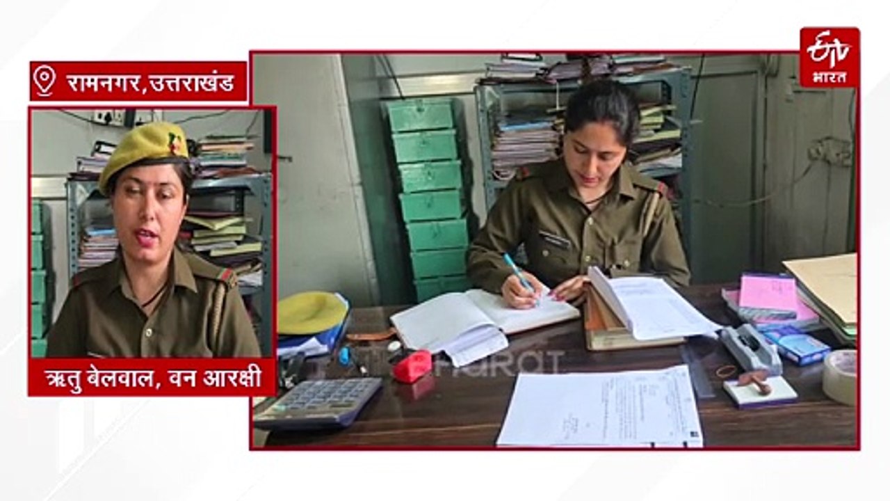 कॉर्बेट की ये 'शेरनियां' निभा रहीं दोहरी जिम्मेदारियां, परिवार के साथ वन्यजीवों की सुरक्षा को भी संभाला