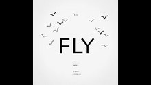 Fly