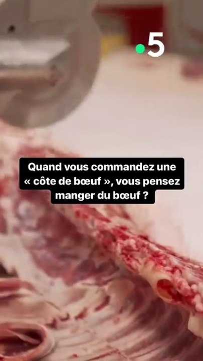 Vous pensez manger une côte de boeuf ?