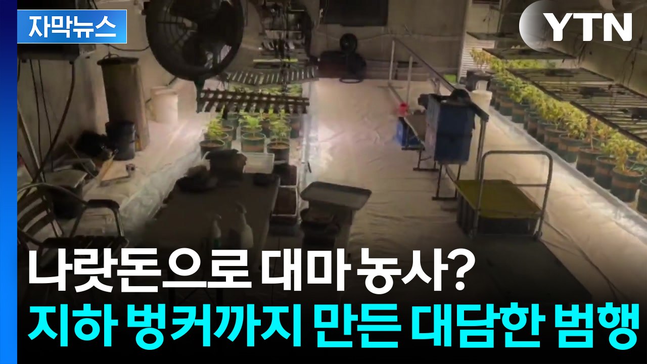지하 벙커까지 파고 대마 재배...스마트팜 지원금 악용 논란 [자막뉴스] / YTN