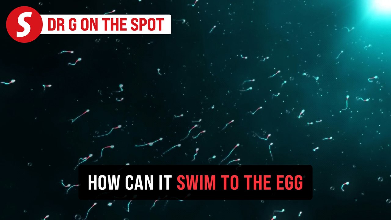 EP316: Science behind sperms in conception | PUTTING DR G ON THE SPOT
