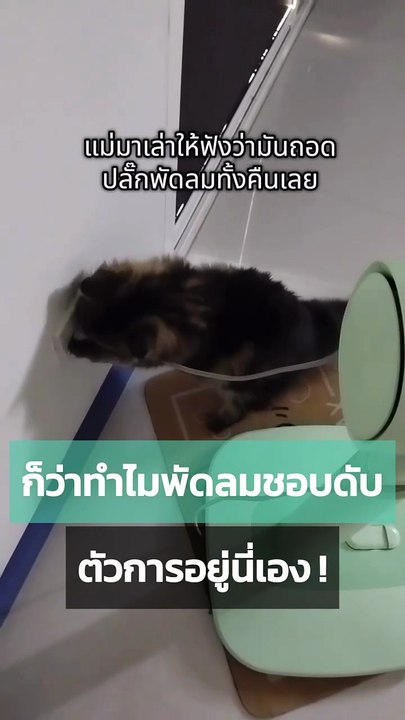 ก็ว่าทำไมพัดลมดับบ่อย พอมาเสียบดูรู้เลย...