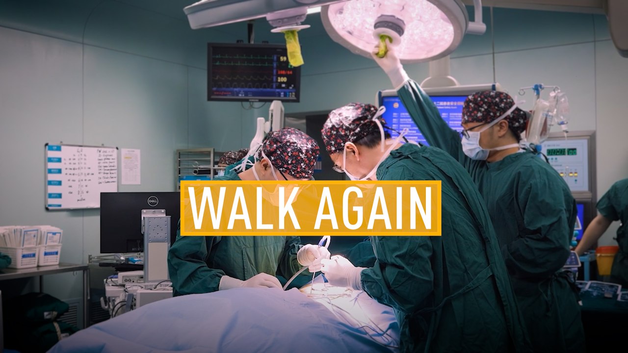 Walk Again: A New Hope for Paralysis Recovery