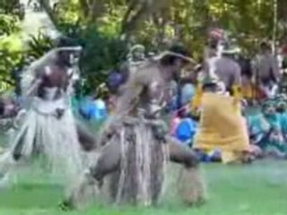 10ans du centre culturel Tjibaou 2/2