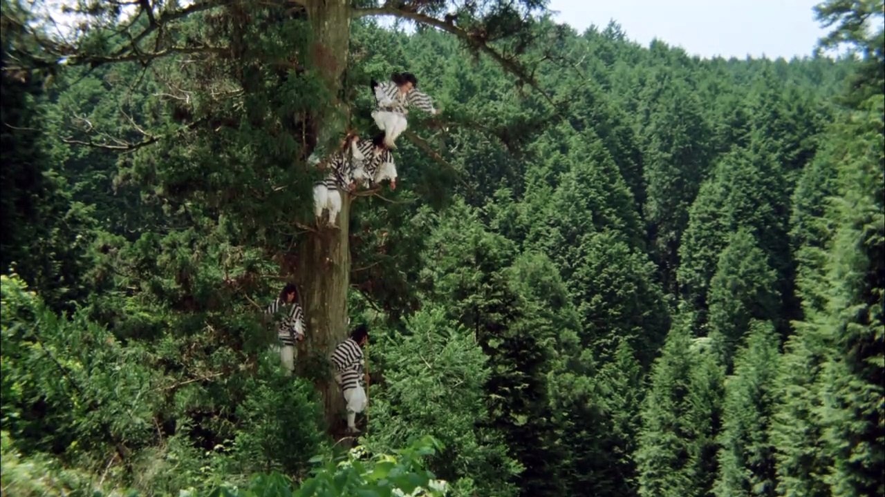 Der Schatten Des Shogun