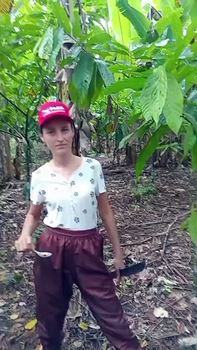 ARVORE QUE SAI SANGUE , VOCES JA VIRAM ??