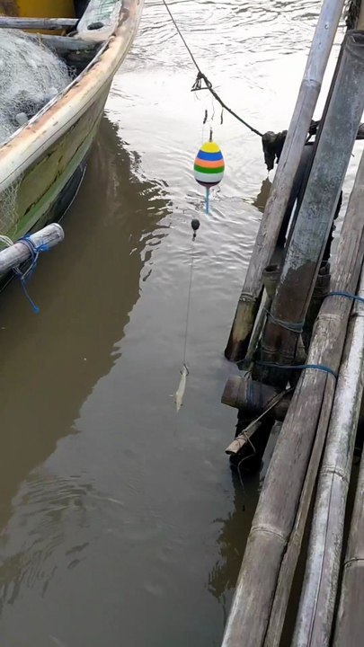 Wait for it 🎣⚠️