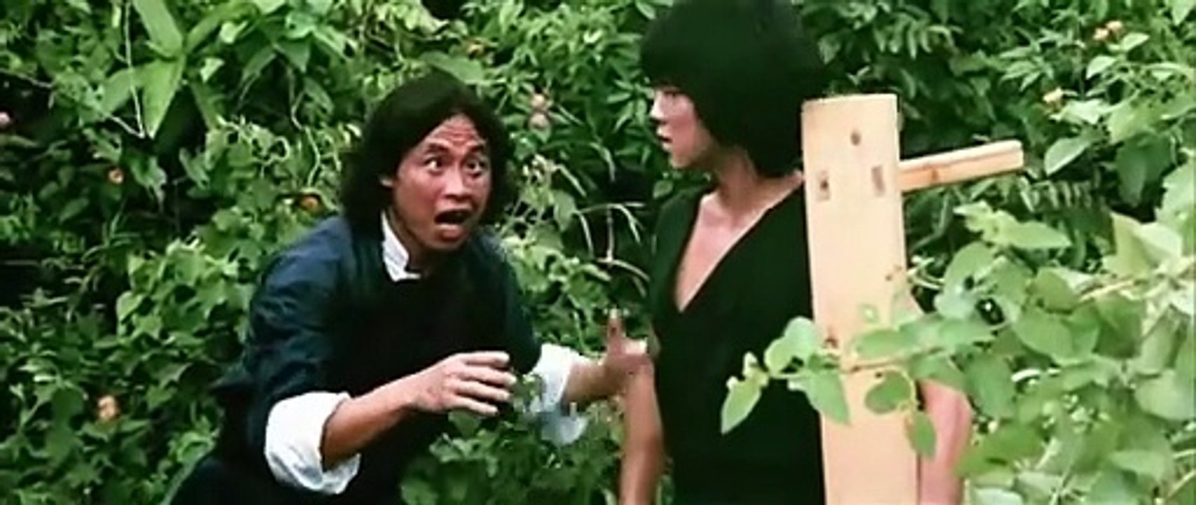 The Young Master (1980) Full Movie