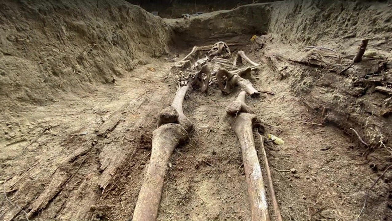 Polish Archaeologists Unearth Remains Of Nuns Executed By Soviets