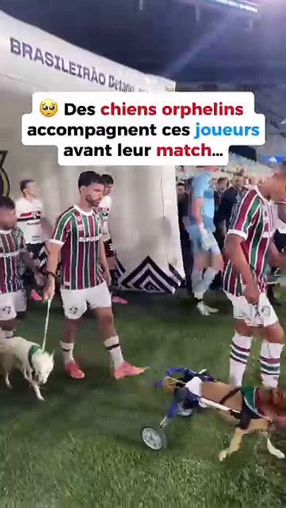 Parce qu’adopter, c’est sauver une vie 💚