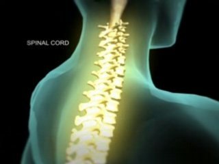 3D Animation Studio | Against All Odds | Documentary