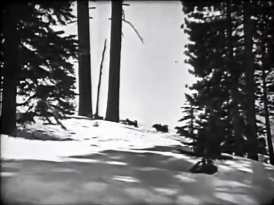 Where the North Begins (1923) – Adventure | Action | Full Movie | Silent Film