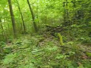 Hiking at Keenys Creek WV