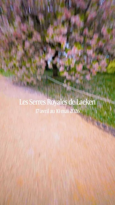 Les Serres Royales de Laeken sont un chef-d’œuvre architectural botanique de verre et d’acier situé à Bruxelles. Il contiennent une collection de fleurs et jardins exceptionnelle 🌸🌹🌺