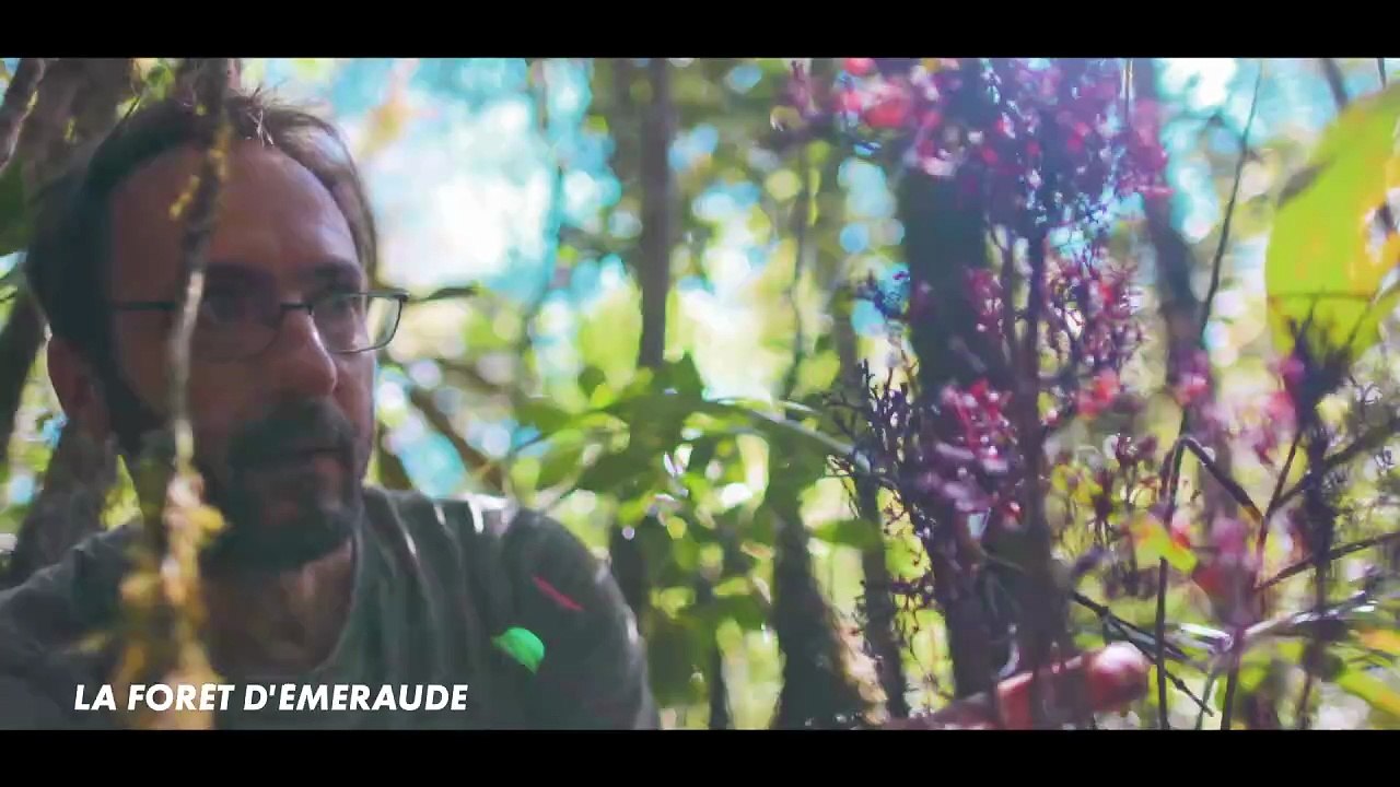 1258703_4155_VR_HD_BA-GLOBALE-OUTREMER-DEF-PAD_2_10-00-00-00_10-01-07-09 (1)