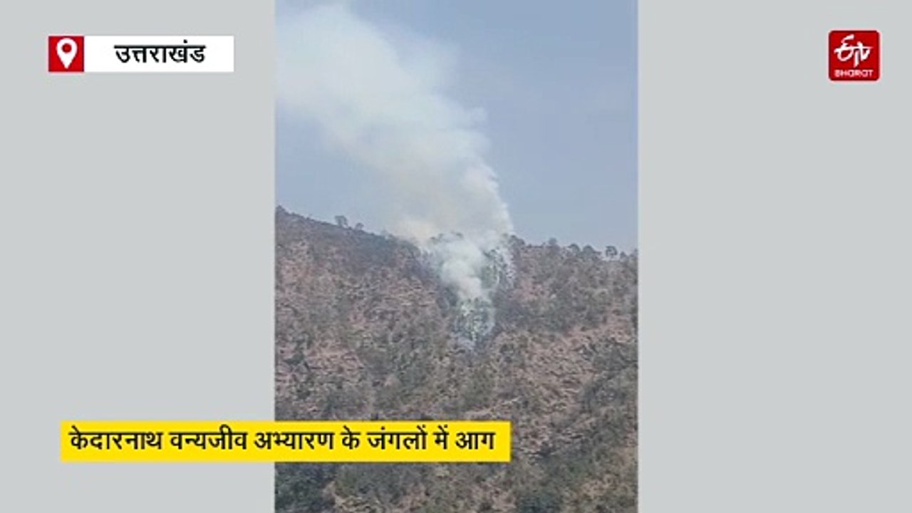 केदारनाथ वन्यजीव अभ्यारण के जंगलों में भीषण आग, वन संपदा को भारी नुकसान, काबू पाने में जुटे वनकर्मी