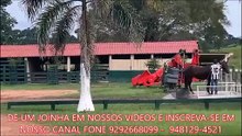 FAZENDA COM 1550 ALQUEIRÃO A VENDA CMC