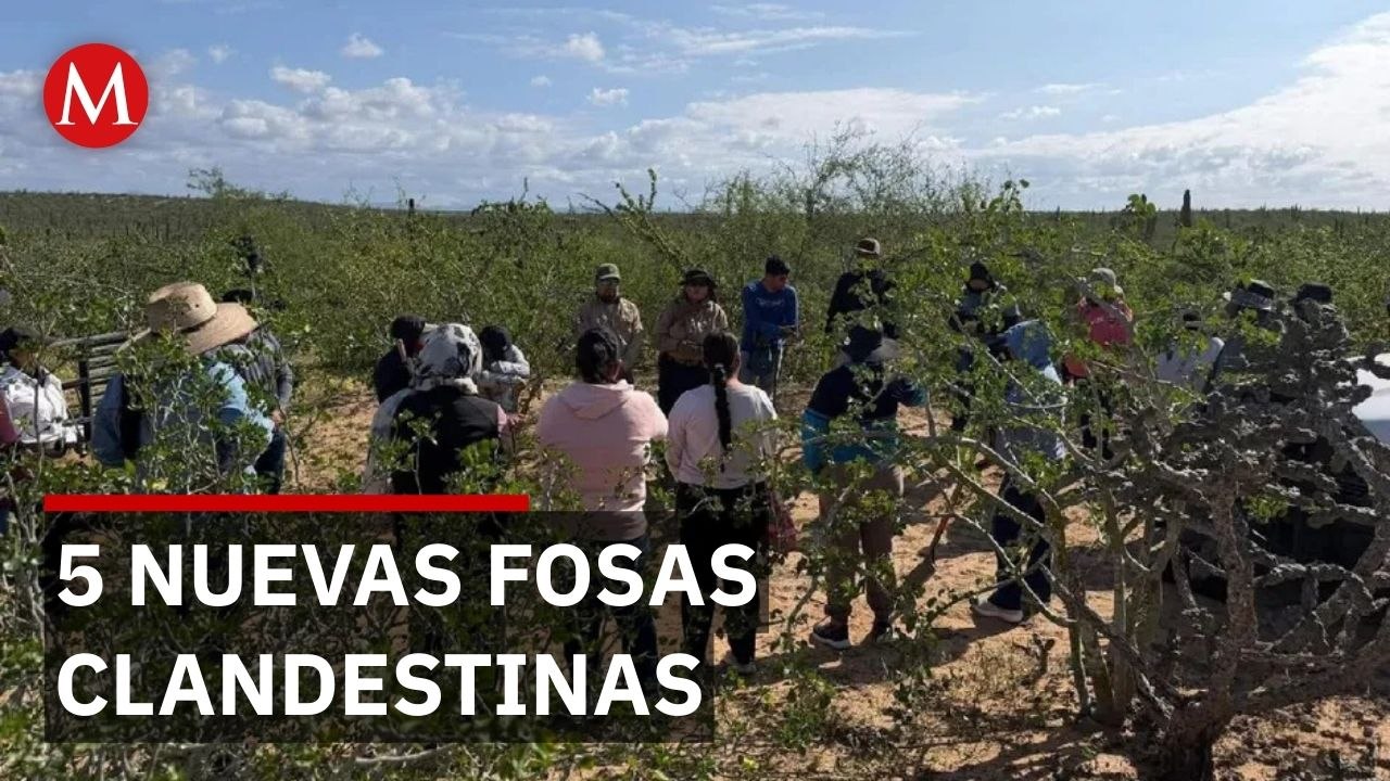 Colectivos de búsqueda localizan restos humanos en Comondú